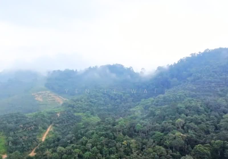 Agricultural Land for Sale in Ampangan (Negeri Sembilan) - Janie Wai - View - PropertyGuru.com.my