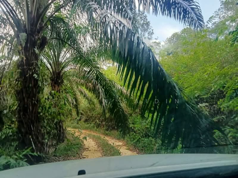 Tanah Pertanian untuk Dijual di Tanjong Malim (Perak) - Shiqin Saidin - Exterior - PropertyGuru.com.my