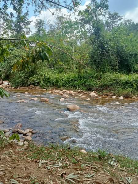 Tanah Pertanian untuk Dijual di Tanjong Malim (Perak) - Shiqin Saidin - Exterior - PropertyGuru.com.my
