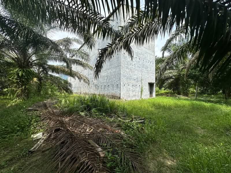 Agricultural Land for Sale in Jeram (Perak) - Ivan Tai - PropertyGuru.com.my