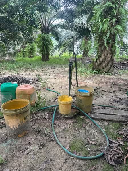 Agricultural Land for Sale in Jeram (Perak) - Ivan Tai - PropertyGuru.com.my