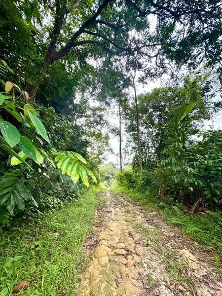 Agricultural Land for Sale in Kuala Kubu Bharu (Selangor) - Shiqin Saidin - Exterior - PropertyGuru.com.my