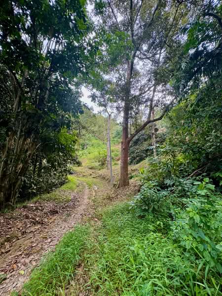 Agricultural Land for Sale in Kuala Kubu Bharu (Selangor) - Shiqin Saidin - Exterior - PropertyGuru.com.my