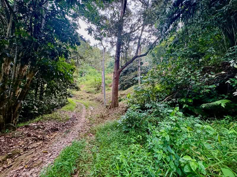 Agricultural Land for Sale in Kuala Kubu Bharu (Selangor) - Shiqin Saidin - Exterior - PropertyGuru.com.my