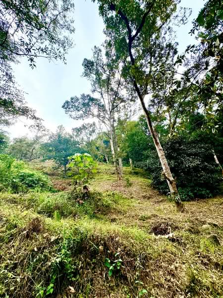 Agricultural Land for Sale in Kuala Kubu Bharu (Selangor) - Shiqin Saidin - Exterior - PropertyGuru.com.my