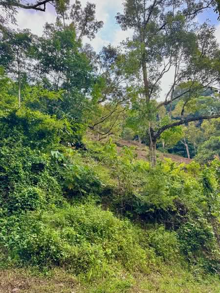 Agricultural Land for Sale in Kuala Kubu Bharu (Selangor) - Shiqin Saidin - Exterior - PropertyGuru.com.my
