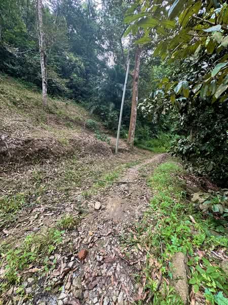 Agricultural Land for Sale in Kuala Kubu Bharu (Selangor) - Shiqin Saidin - PropertyGuru.com.my