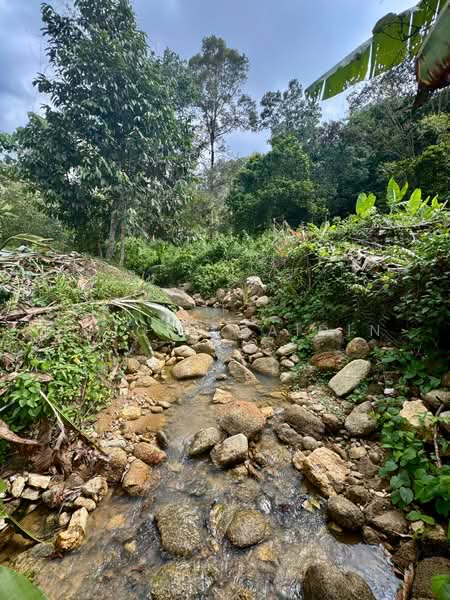 Agricultural Land for Sale in Kuala Kubu Bharu (Selangor) - Shiqin Saidin - Exterior - PropertyGuru.com.my