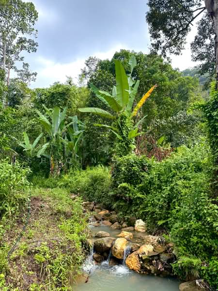 Agricultural Land for Sale in Kuala Kubu Bharu (Selangor) - Shiqin Saidin - Exterior - PropertyGuru.com.my