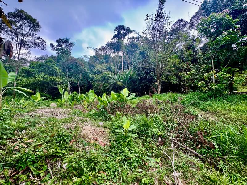 Agricultural Land for Sale in Kuala Kubu Bharu (Selangor) - Shiqin Saidin - Exterior - PropertyGuru.com.my