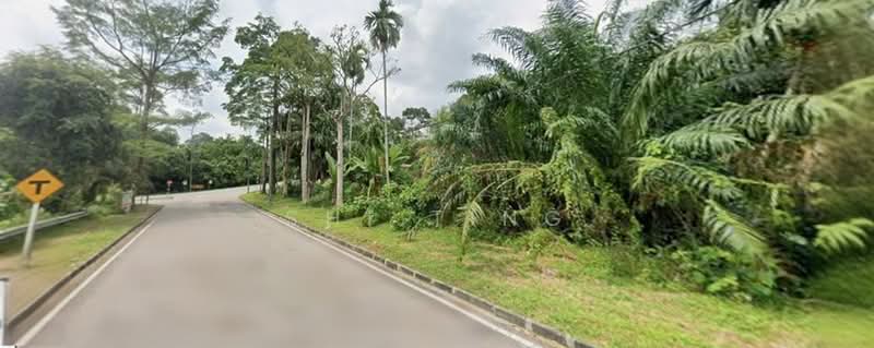 Industrial Land for Sale in Pelabuhan Tanjung Pelepas (Gelang Patah) - Shi Ting - PropertyGuru.com.my