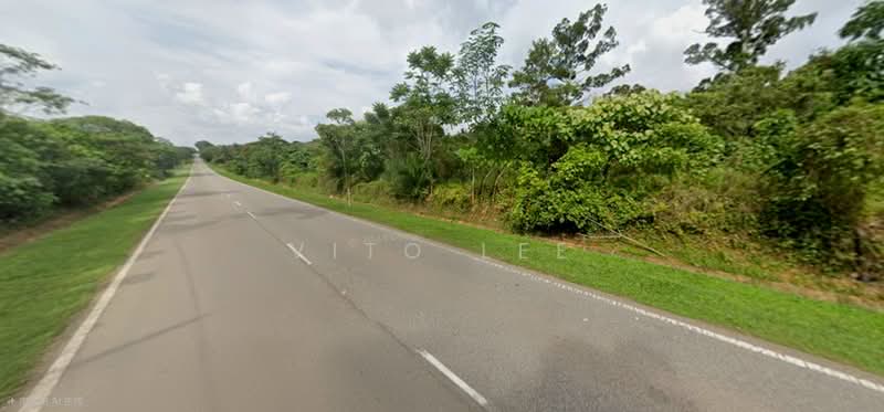 Agricultural Land for Sale in Taman Buloh Kasap (Segamat) - Vito Lee - PropertyGuru.com.my