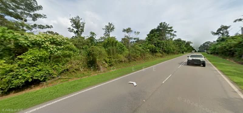 Agricultural Land for Sale in Taman Buloh Kasap (Segamat) - Vito Lee - PropertyGuru.com.my
