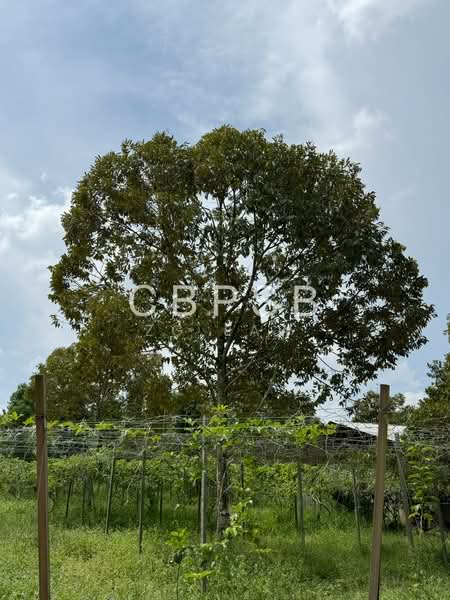 Agricultural Land for Sale in Tongkang Pechah (Batu Pahat) - ZG Law - PropertyGuru.com.my
