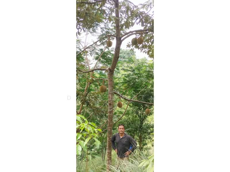 Agricultural Land for Sale in Melawati (Selangor) - Doc Hazim - Exterior - PropertyGuru.com.my