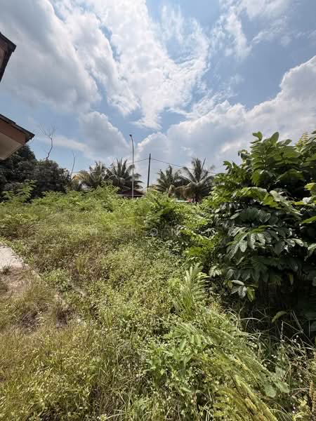 Rumah Teres 2 Tingkat untuk Dijual di Taman Nusantara (Iskandar Puteri (Nusajaya)) - Sharon Ng - Exterior - PropertyGuru.com.my