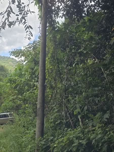 Agricultural Land for Sale in Kampung Baru Liman Kati (Kuala Kangsar) - Ivan Tai - PropertyGuru.com.my