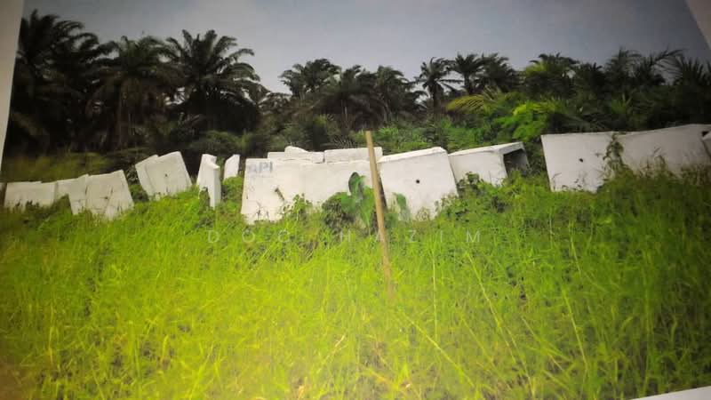 Agricultural Land for Sale in Sungai Buloh (Selangor) - Doc Hazim - Exterior - PropertyGuru.com.my