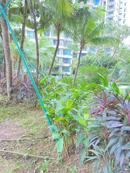 Pangsapuri untuk Disewa di Starview Bay @ Forest City - Alex Cheah - Exterior - PropertyGuru.com.my