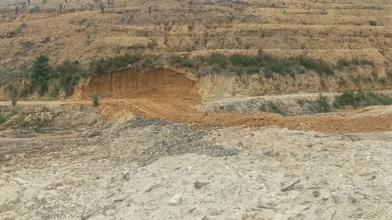 Agricultural Land for Sale in Kampung Batu 3 Segari (Lumut) - Alvin Seah - PropertyGuru.com.my
