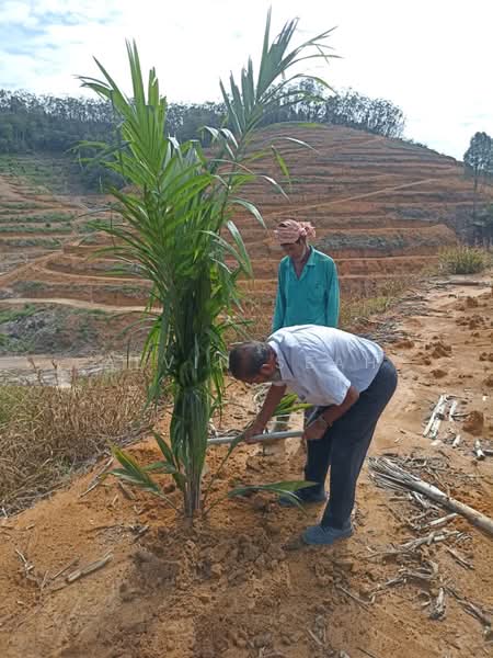 Agricultural Land for Sale in Kampung Batu 3 Segari (Lumut) - Alvin Seah - Exterior - PropertyGuru.com.my
