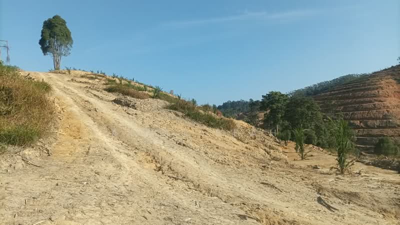 Agricultural Land for Sale in Kampung Batu 3 Segari (Lumut) - Alvin Seah - Exterior - PropertyGuru.com.my