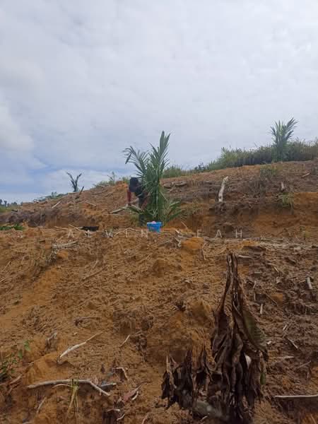 Agricultural Land for Sale in Kampung Batu 3 Segari (Lumut) - Alvin Seah - Exterior - PropertyGuru.com.my