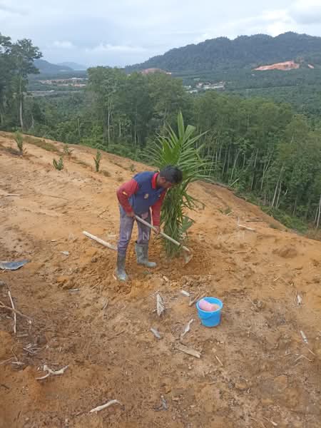 Agricultural Land for Sale in Kampung Batu 3 Segari (Lumut) - Alvin Seah - Exterior - PropertyGuru.com.my