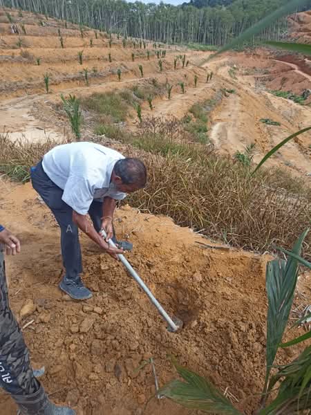 Agricultural Land for Sale in Kampung Batu 3 Segari (Lumut) - Alvin Seah - PropertyGuru.com.my