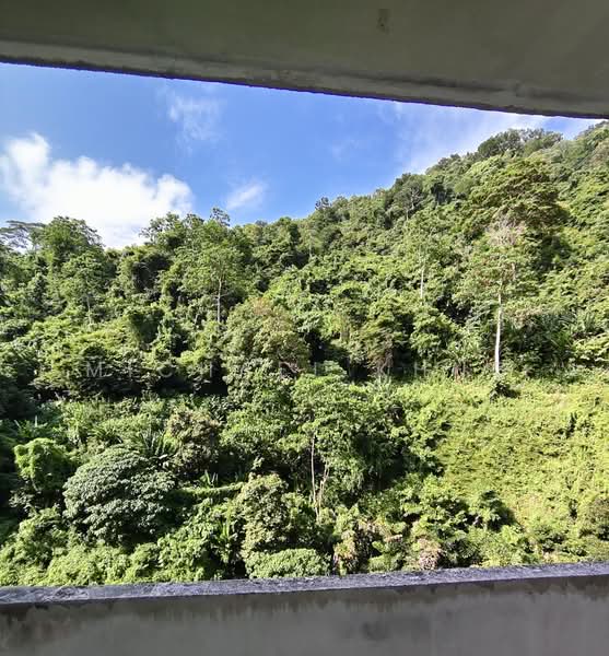 Flat for Sale at Grandview Heights - Michael Khng - PropertyGuru.com.my