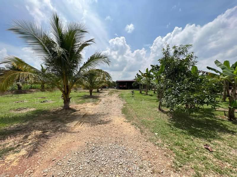 Agricultural Land for Sale in Sungai Petai (Melaka) - Ahmad Faizal Basri - Exterior - PropertyGuru.com.my