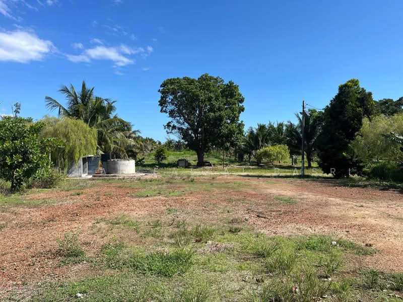 Agricultural Land for Sale in Sungai Petai (Melaka) - Ahmad Faizal Basri - Exterior - PropertyGuru.com.my