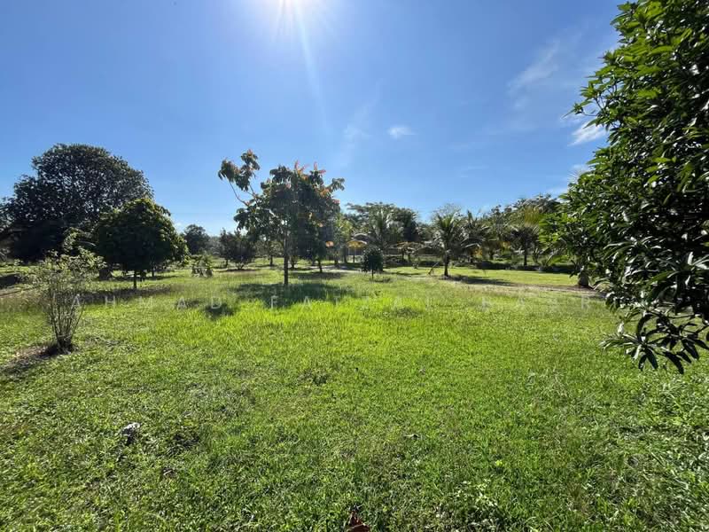 Agricultural Land for Sale in Sungai Petai (Melaka) - Ahmad Faizal Basri - Exterior - PropertyGuru.com.my