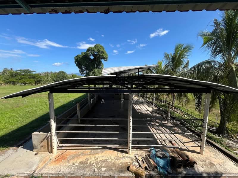 Agricultural Land for Sale in Sungai Petai (Melaka) - Ahmad Faizal Basri - Exterior - PropertyGuru.com.my