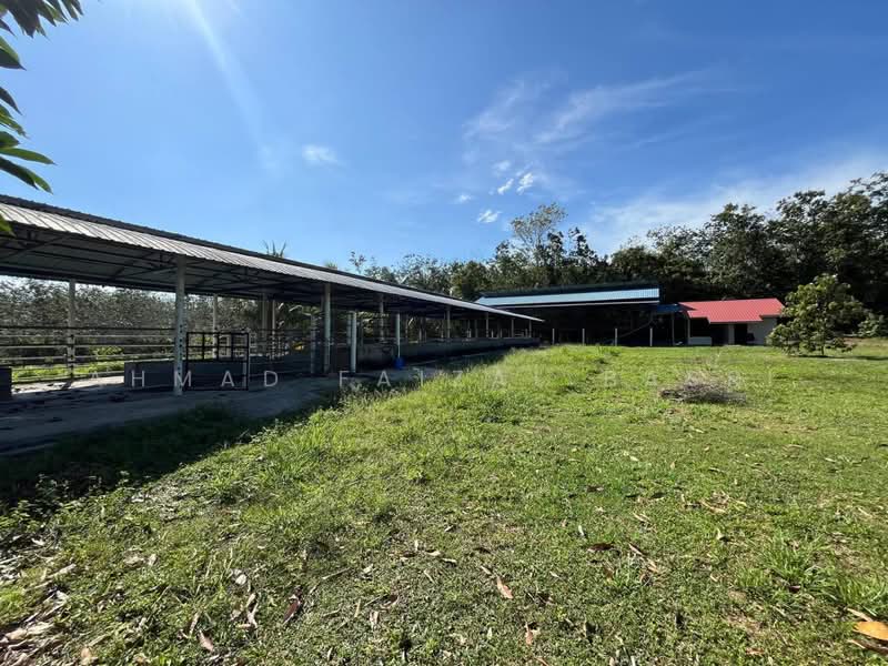 Agricultural Land for Sale in Sungai Petai (Melaka) - Ahmad Faizal Basri - Exterior - PropertyGuru.com.my