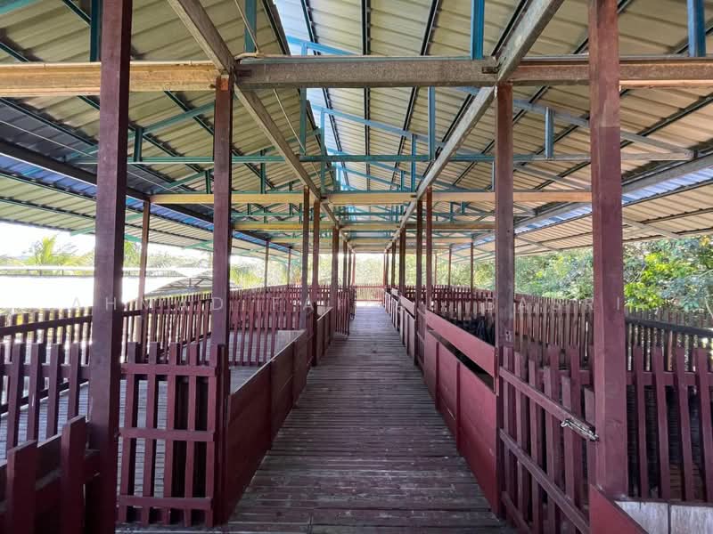 Agricultural Land for Sale in Sungai Petai (Melaka) - Ahmad Faizal Basri - Exterior - PropertyGuru.com.my