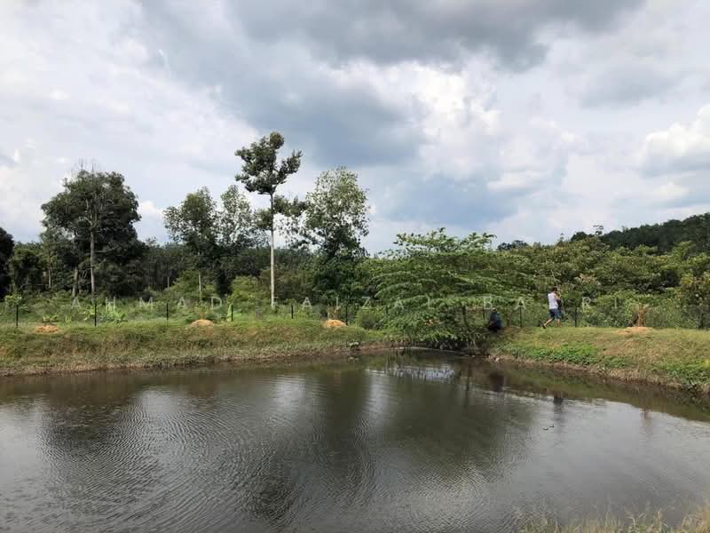 Agricultural Land for Sale in Sungai Petai (Melaka) - Ahmad Faizal Basri - Exterior - PropertyGuru.com.my