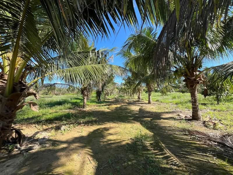 Agricultural Land for Sale in Sungai Petai (Melaka) - Ahmad Faizal Basri - Exterior - PropertyGuru.com.my