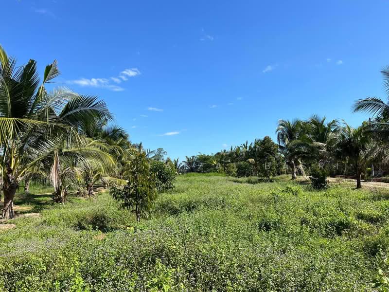 Agricultural Land for Sale in Sungai Petai (Melaka) - Ahmad Faizal Basri - Exterior - PropertyGuru.com.my