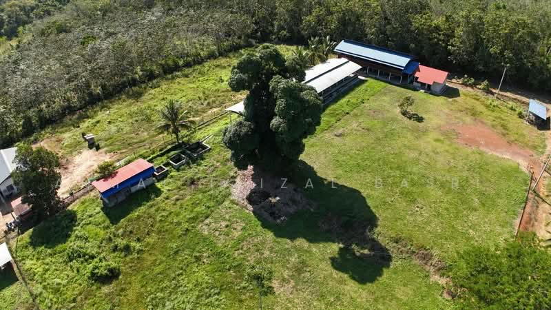 Agricultural Land for Sale in Sungai Petai (Melaka) - Ahmad Faizal Basri - Exterior - PropertyGuru.com.my