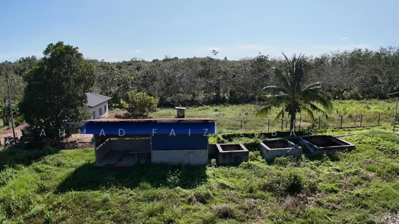 Agricultural Land for Sale in Sungai Petai (Melaka) - Ahmad Faizal Basri - Exterior - PropertyGuru.com.my