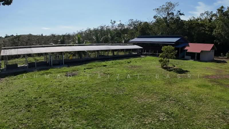 Agricultural Land for Sale in Sungai Petai (Melaka) - Ahmad Faizal Basri - Exterior - PropertyGuru.com.my