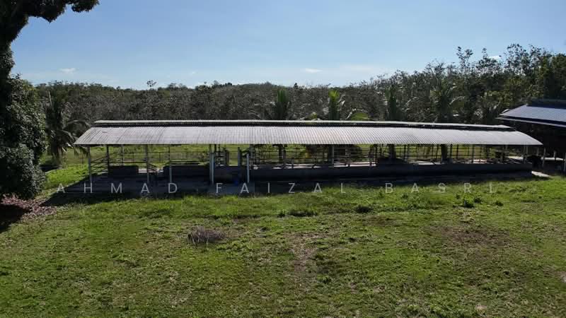 Agricultural Land for Sale in Sungai Petai (Melaka) - Ahmad Faizal Basri - Exterior - PropertyGuru.com.my