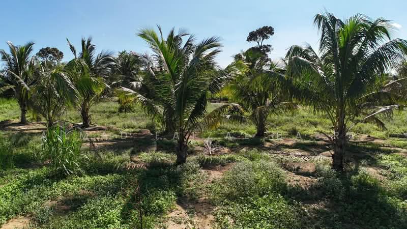 Agricultural Land for Sale in Sungai Petai (Melaka) - Ahmad Faizal Basri - Garden - PropertyGuru.com.my