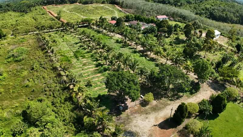 Agricultural Land for Sale in Sungai Petai (Melaka) - Ahmad Faizal Basri - Exterior - PropertyGuru.com.my