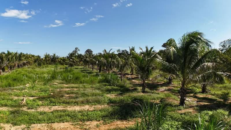 Agricultural Land for Sale in Sungai Petai (Melaka) - Ahmad Faizal Basri - Garden - PropertyGuru.com.my