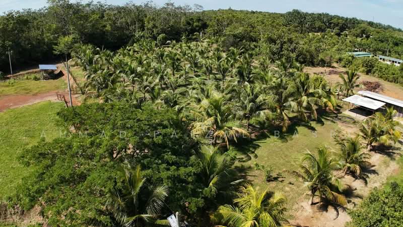 Agricultural Land for Sale in Sungai Petai (Melaka) - Ahmad Faizal Basri - Exterior - PropertyGuru.com.my