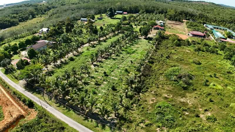 Agricultural Land for Sale in Sungai Petai (Melaka) - Ahmad Faizal Basri - Exterior - PropertyGuru.com.my