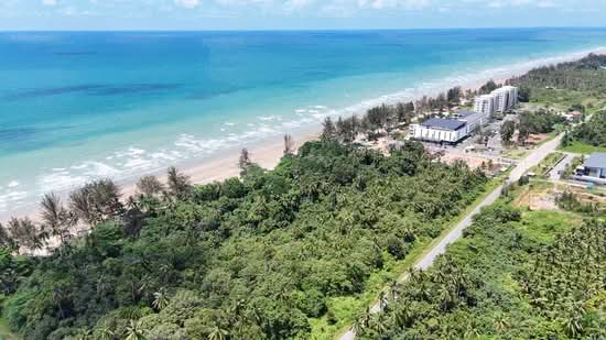 Agricultural Land for Sale in Sematan (Lundu) - Sherene Kok - PropertyGuru.com.my