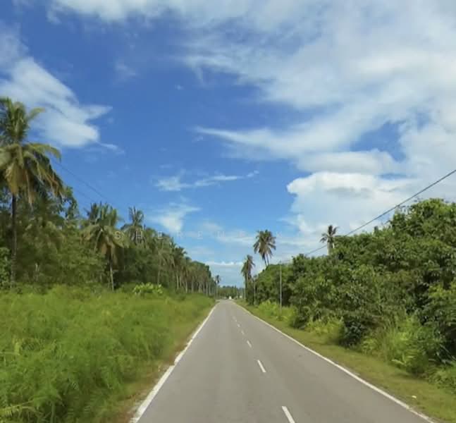 Agricultural Land for Sale in Sematan (Lundu) - Sherene Kok - Exterior - PropertyGuru.com.my